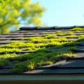 How to Remove Moss from Your Roof: A Complete Guide for Homeowners 2025