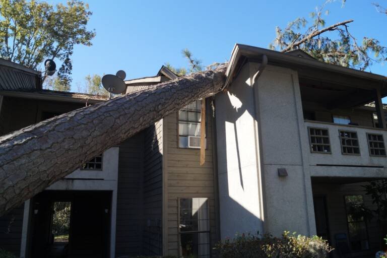 Insurance Restoration Services