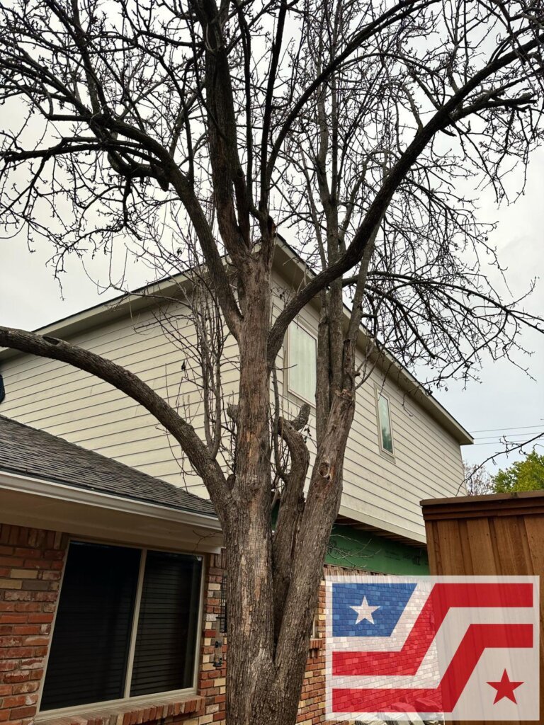 🚧 Garage Room Addition in Plano, TX – Expanding Living Space with Style & Value in Dallas, TX 🚧 Garage Room Addition in Plano, TX – Expanding Living Space with Style & Value in Dallas, TX