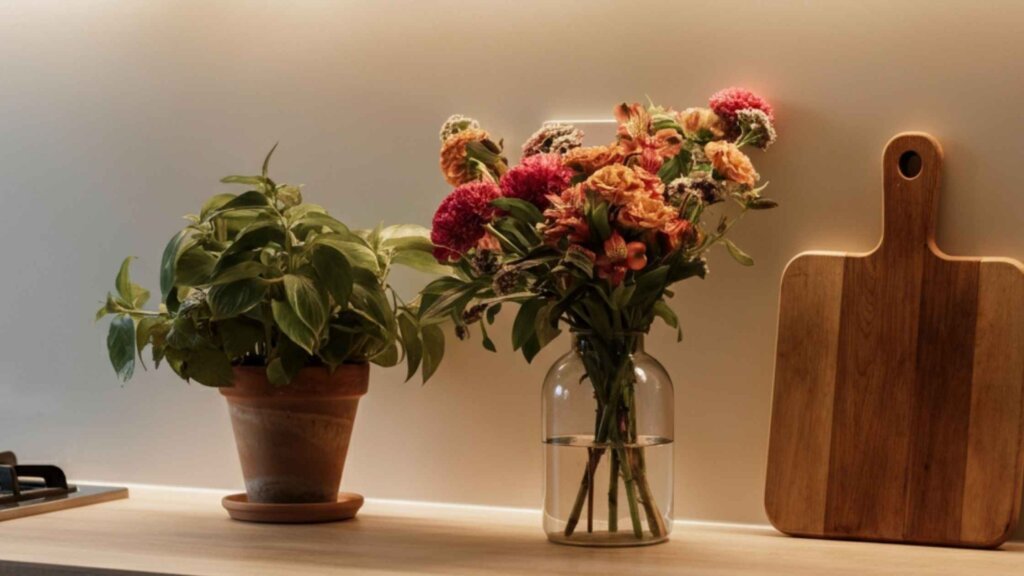 How to Decorate Kitchen Counters: Stylish and Functional Ideas for Every Home in Dallas, TX